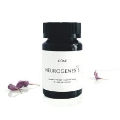 Neurogenesis Psilocybin Microdose