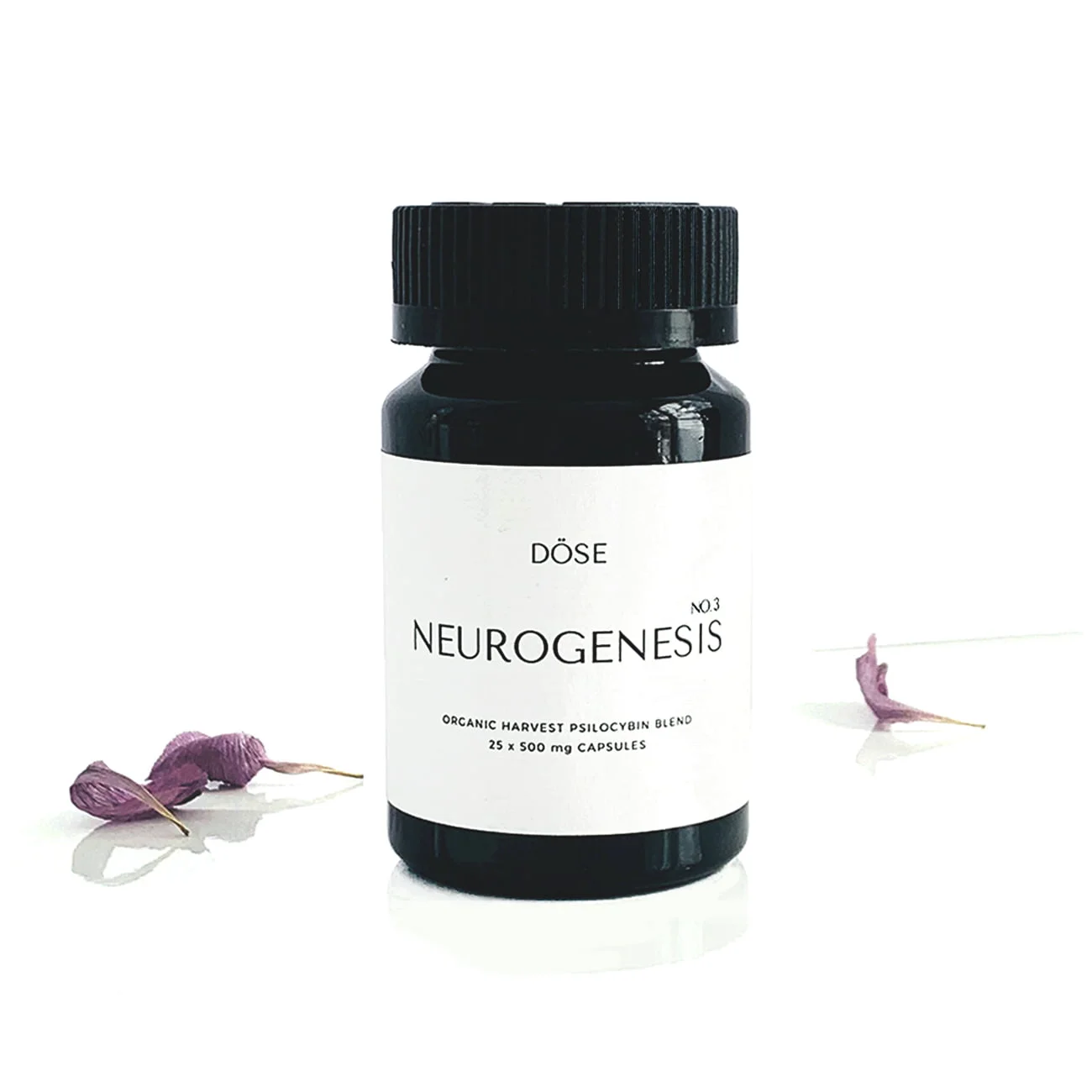 Neurogenesis Psilocybin Microdose
