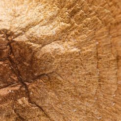 Origin AfricanKobe5 600x750 1