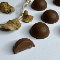 Alternative view of Shafaa Macrodosing Magic Mushroom Milk Chocolate Edibles