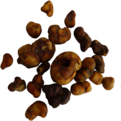 Atlantis Magic Truffles