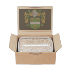 Mondo® Grow Kit Treasure Coast