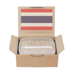 Thai magic mushroom grow kit