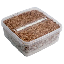 Mondo Grow Kit PES Amazon XL